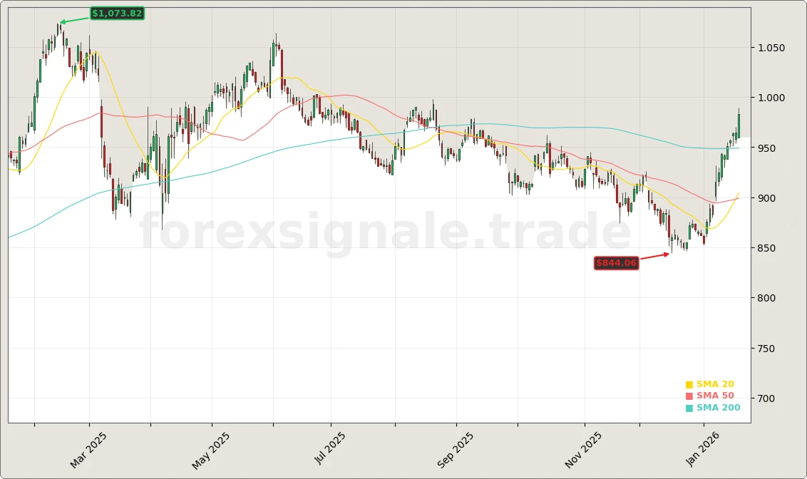 Costco Wholesale Corporation Aktienchart - 252 Tage Kursverlauf - Januar 2026
