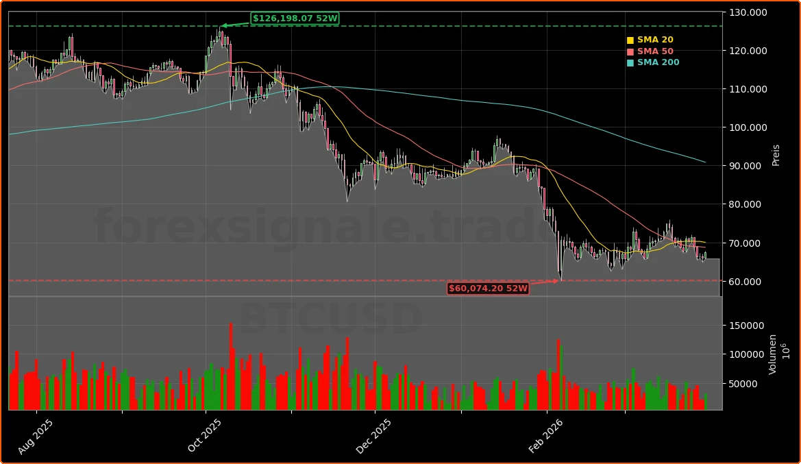 Bitcoin Marktphase und institutionelle Adoption Aktienchart - 252 Tage Kursverlauf - Maerz 2026