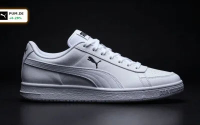 Puma Übernahme Chance: Eigentümerwechsel und neue Machtverhältnisse