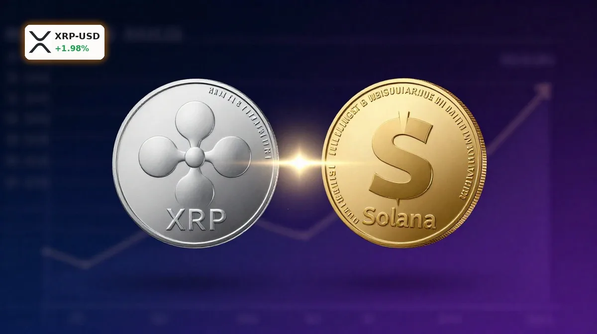 Ripple Solana-Teaser Chance: Was hinter dem Hype um XRP & SOL steckt