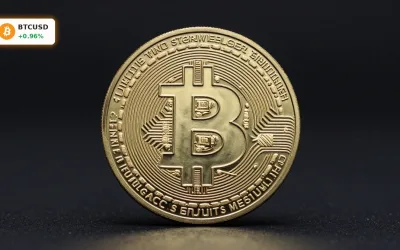 Bitcoin Institutionenkauf: Rekord-Boom trotz Seitwärtsmarkt
