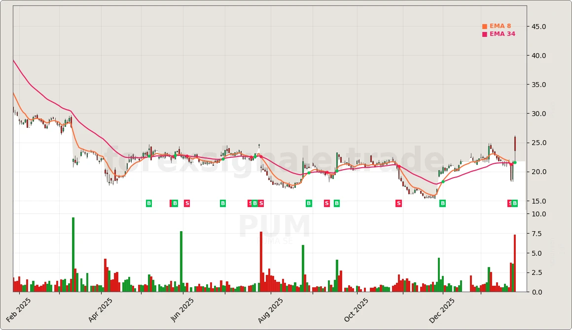 Trading Signale 298 PUM Chart