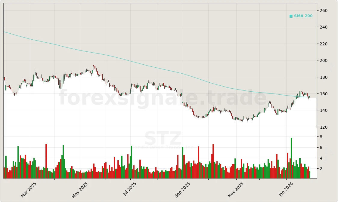 STZ Chart