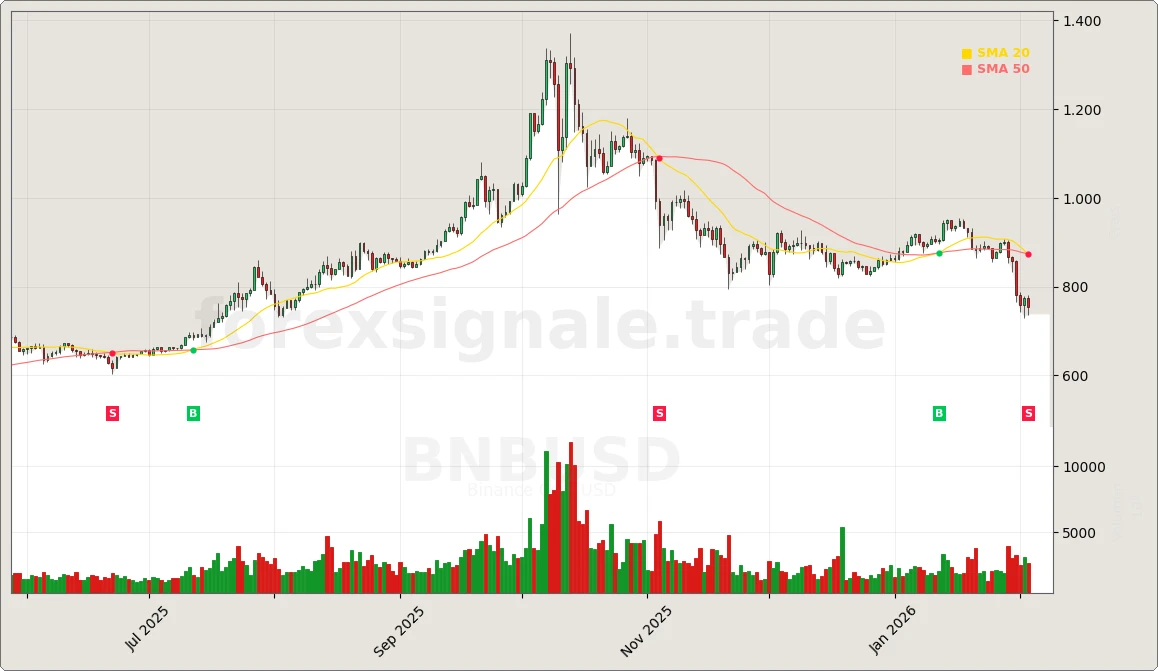 BNBUSD Chart