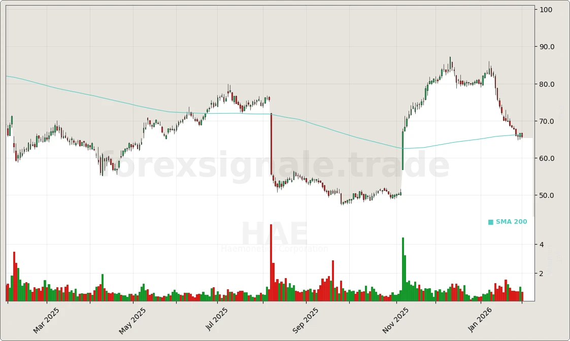 Trading Signale 03.02.26 137 HAE Chart