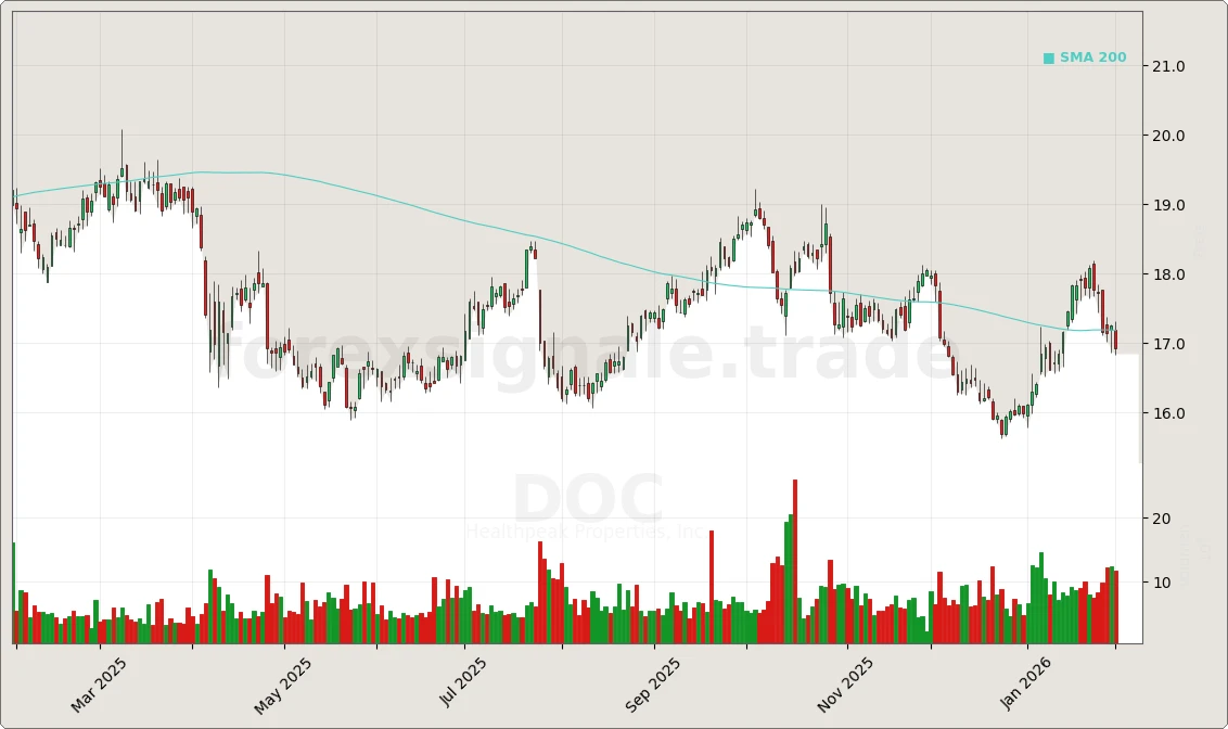 Trading Signale 03.02.26 31 DOC Chart
