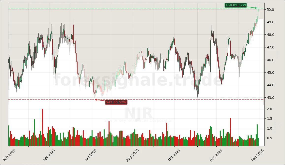 Trading Signale 03.02.26 78 NJR Chart