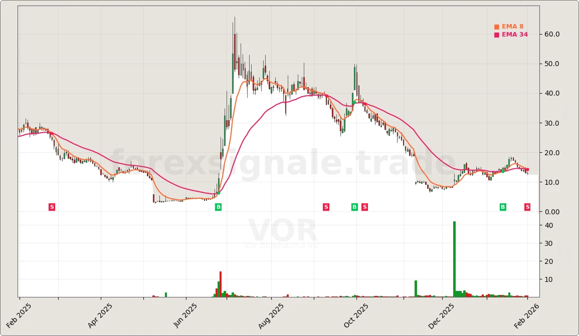 Trading Signale 03.02.26 118 VOR Chart
