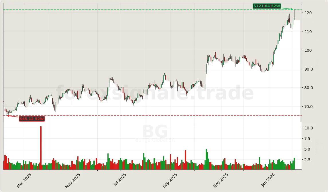 BG Signal Chart