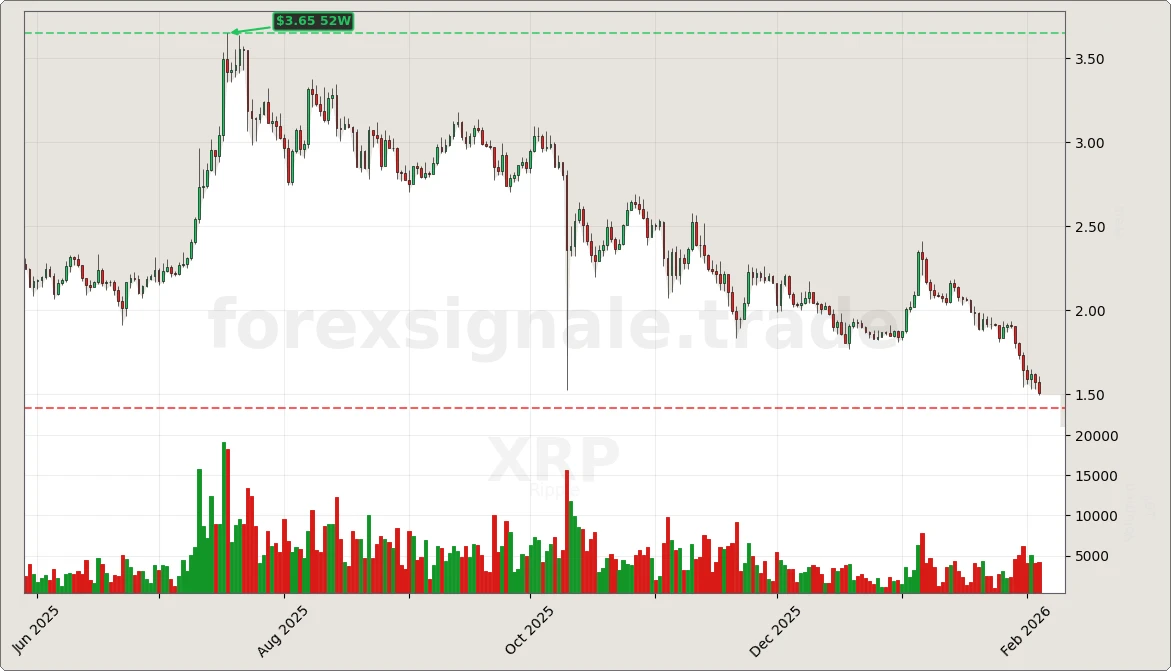 XRP Signal Chart