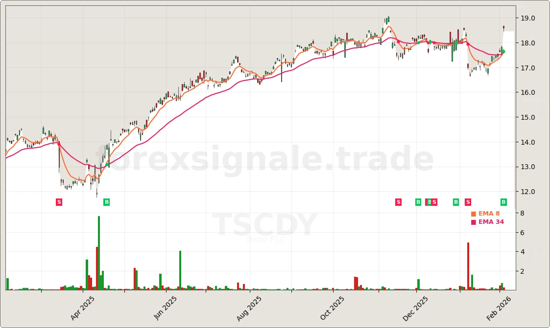 TSCDY Signal Chart