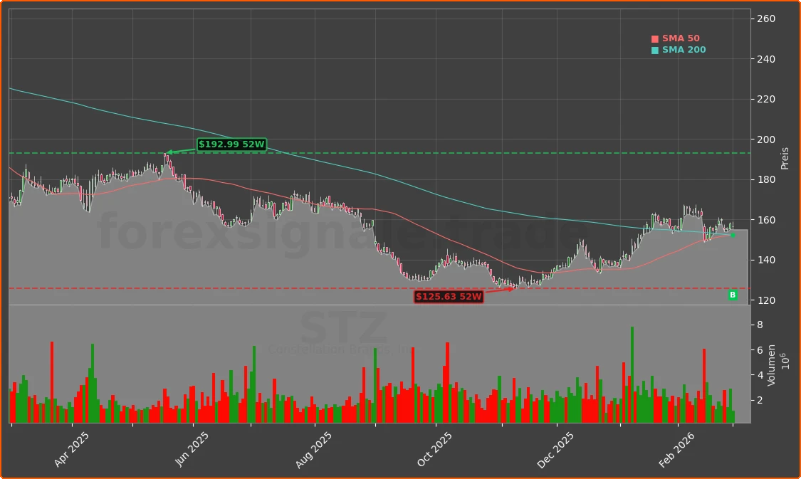 STZ Chart