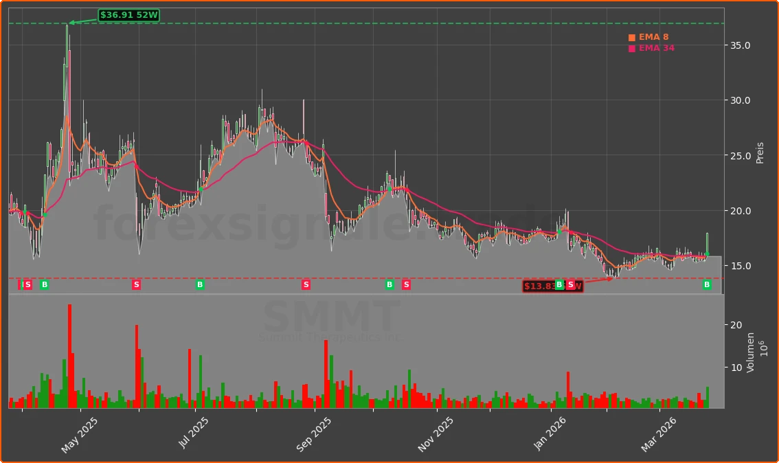 SMMT Chart