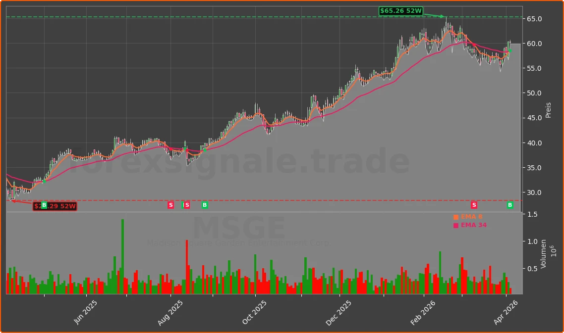 MSGE Chart