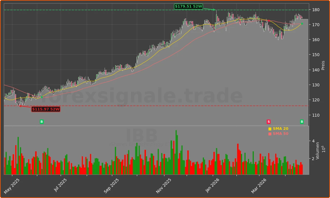 IBB Chart