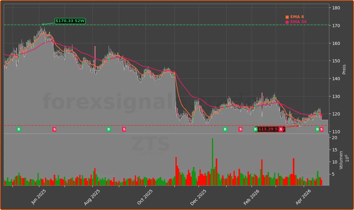 ZTS Chart