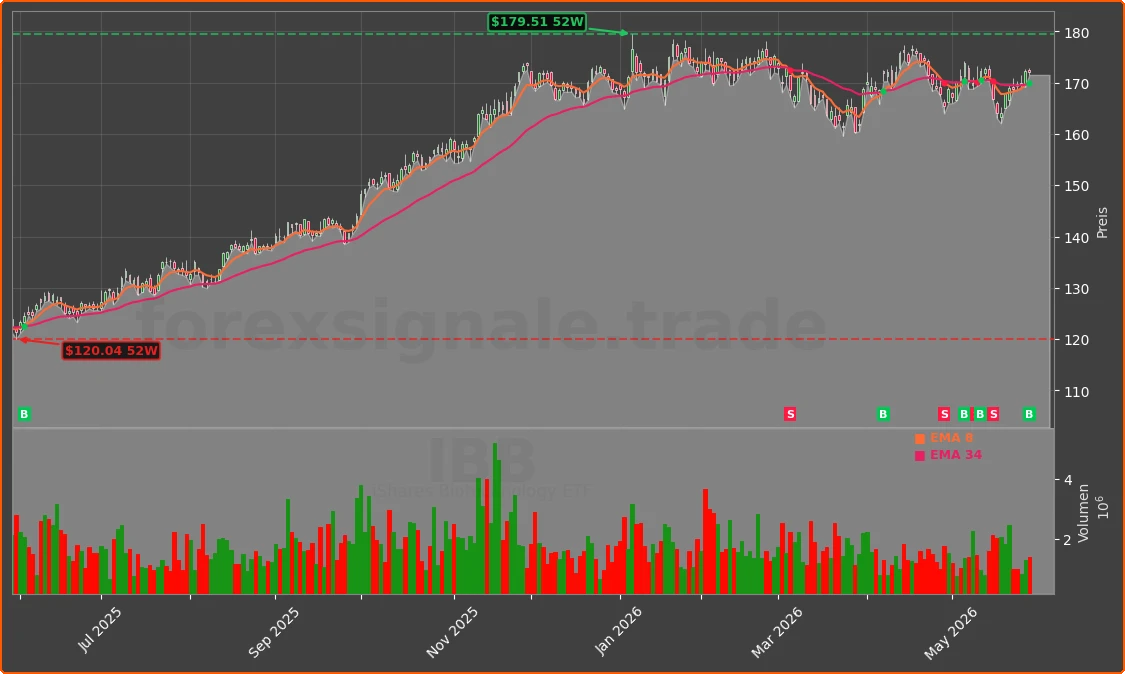 IBB Chart