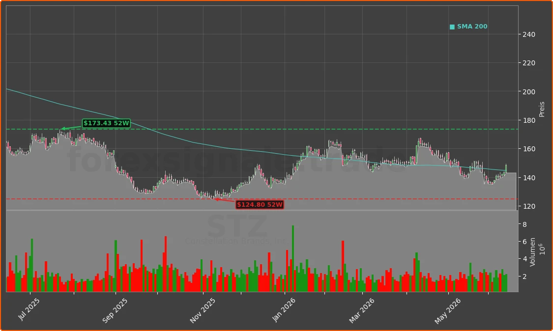 STZ Chart