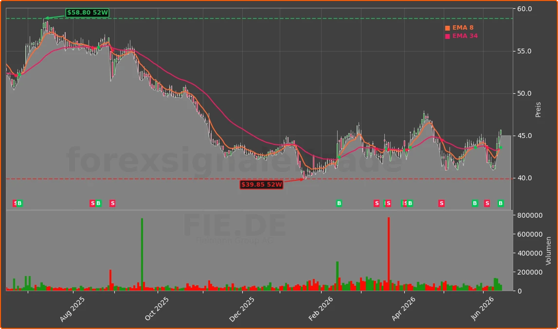 FIE.DE Chart