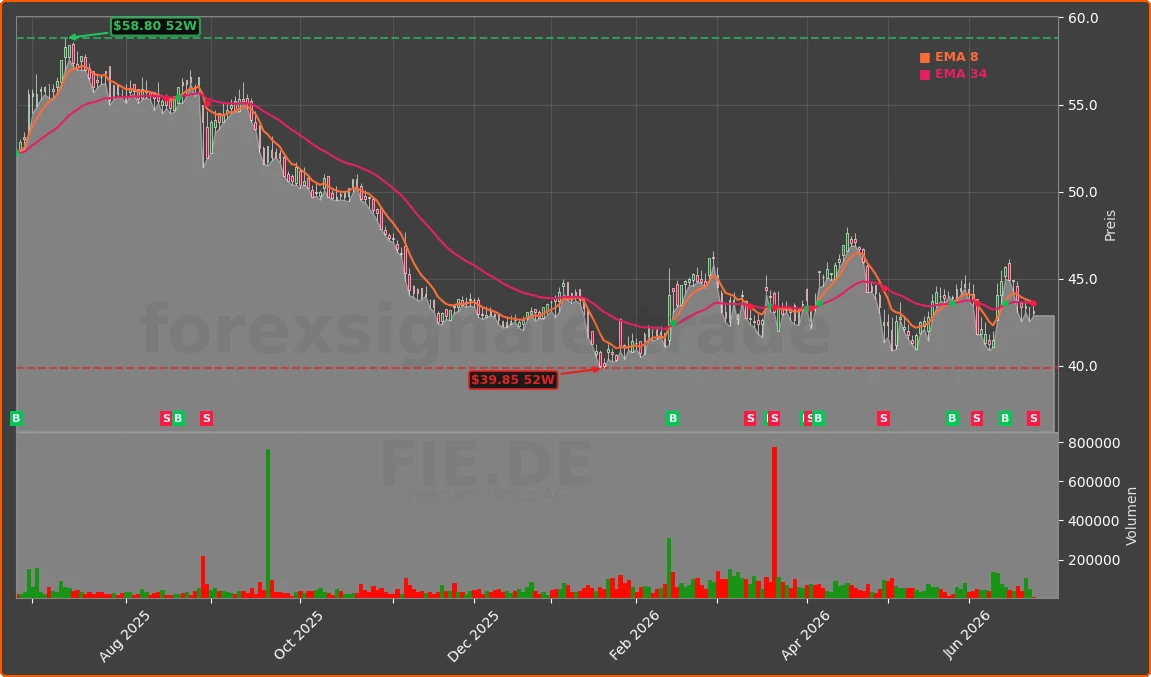 FIE.DE Chart