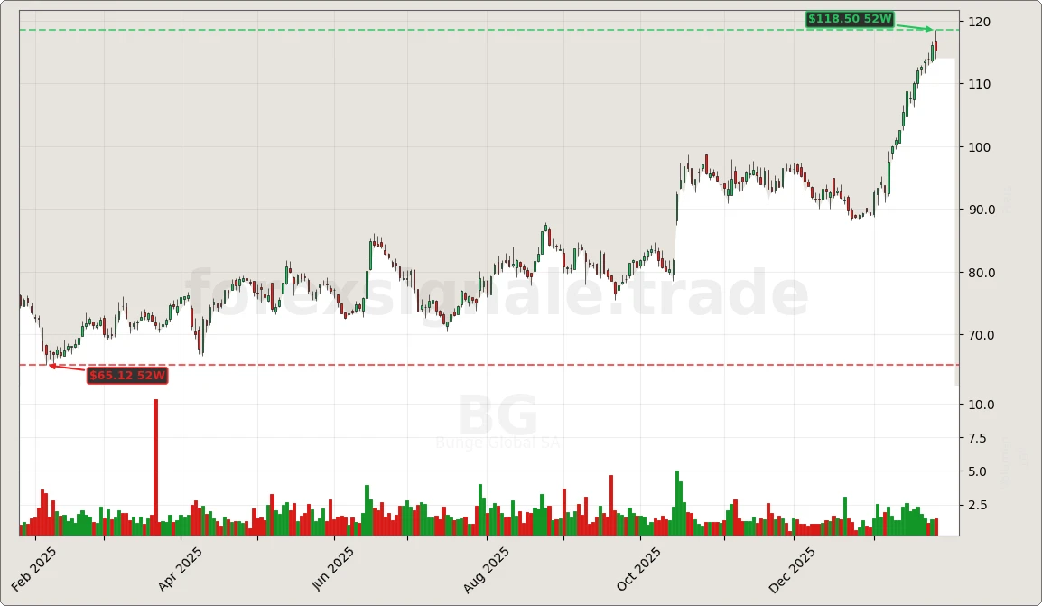 Trading Signale 262 BG Chart
