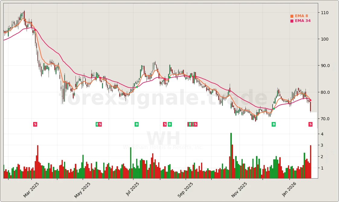 Trading Signale 181 WH Chart